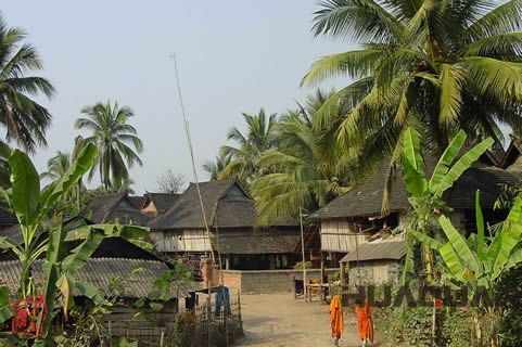 『隨華全，觀天下』 ——走進(jìn)勐海