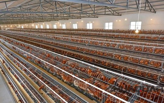 迎風而上冒雨前行，華全發(fā)電機組用實際行動助力南京抵御臺風侵襲